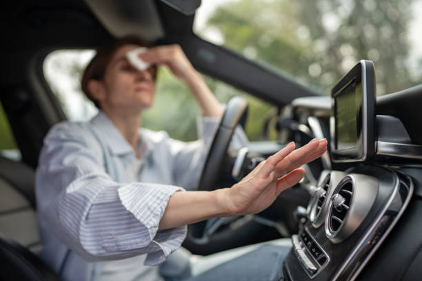 Best Central Air Repair  in Center Line, MI